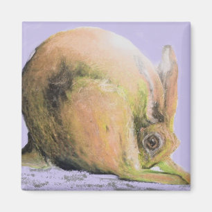 Imán liebre amarilla