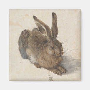Imán Liebres jovenes de Albrecht Durer