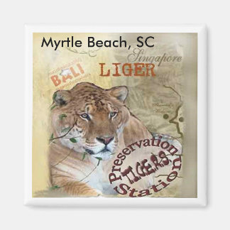 Imán Liger Magnet - Myrtle Beach, SC