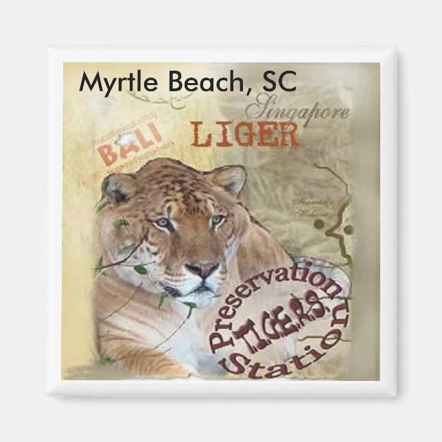 Imán Liger Magnet - Myrtle Beach, SC (Frente)