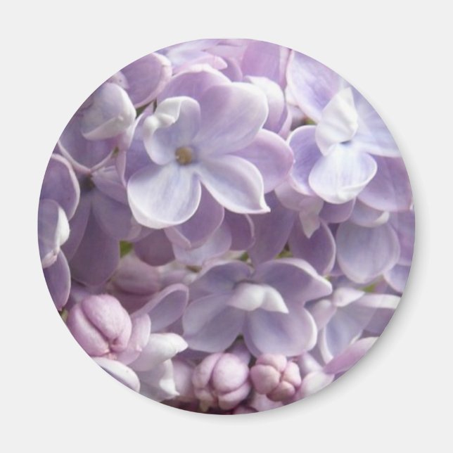 Imán Lilac Blossoms Magnet (Frente)