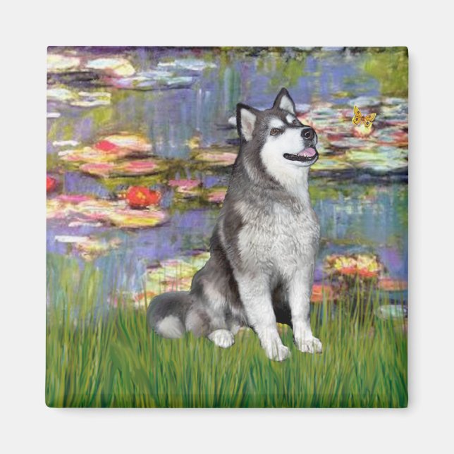 Imán Lilies 2 - Malamute de Alaska (Frente)