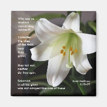 Lilies of the Field - Magnet