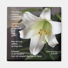 Imán Lilies of the Field - Magnet