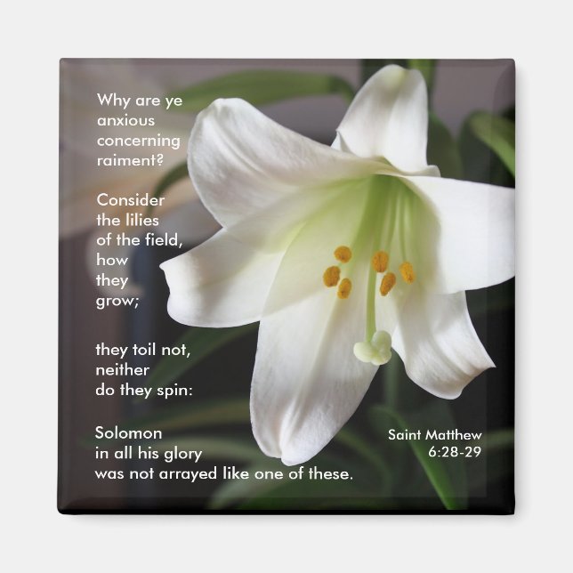 Imán Lilies of the Field - Magnet (Frente)
