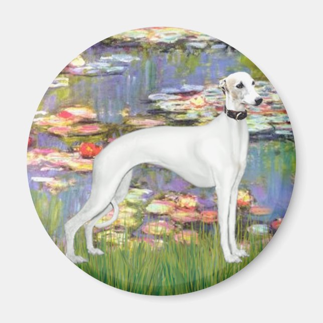 Imán Lilios 2 - Whippet Blanco (11b) (Frente)