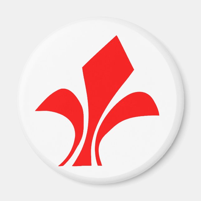 Imán Lille, Francia (Frente)