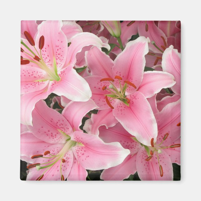 Imán Lillies Pink (Frente)