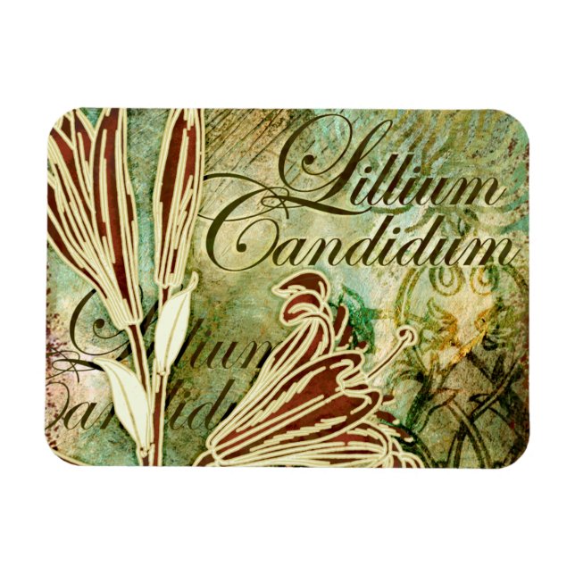 Imán Lillium Candidum (Horizontal)