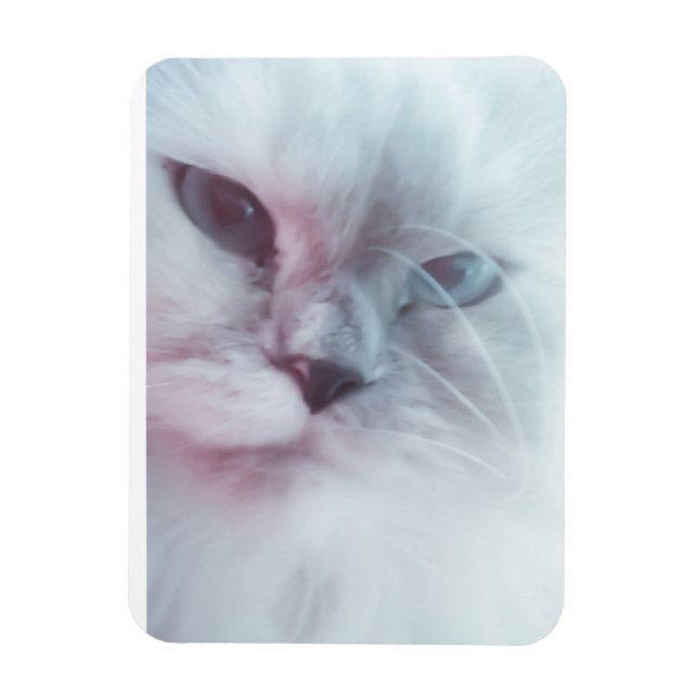 Imán Lilly (Vertical)