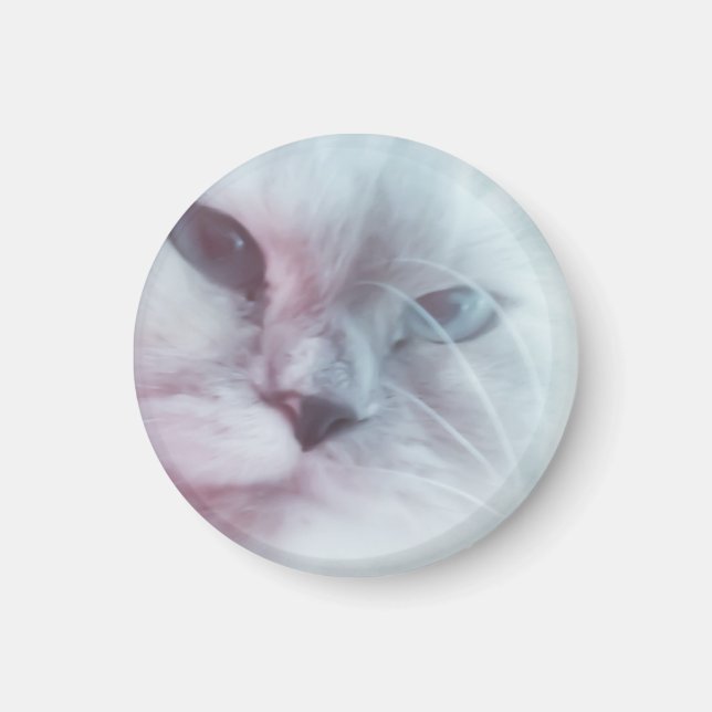 Imán Lilly (Frente)