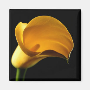 Imán Lilly amarillo