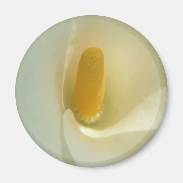 Imán Lilly Centre Magnet (Frente)