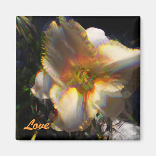 Imán Lilly de Janice, amor