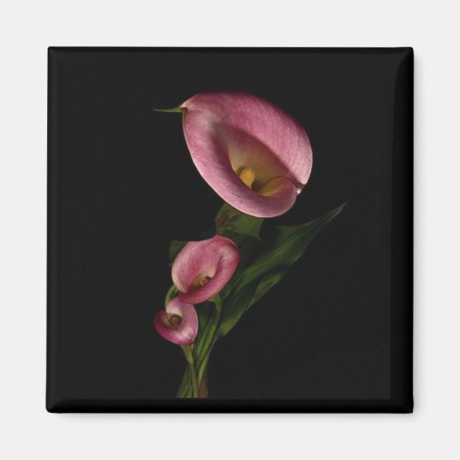 Imán Lilly Magnet (Frente)