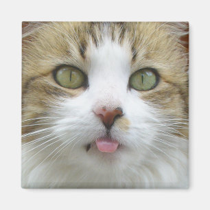 Imán Lily Magnet 003