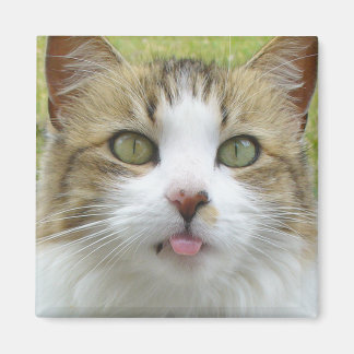 Imán Lily Magnet 004