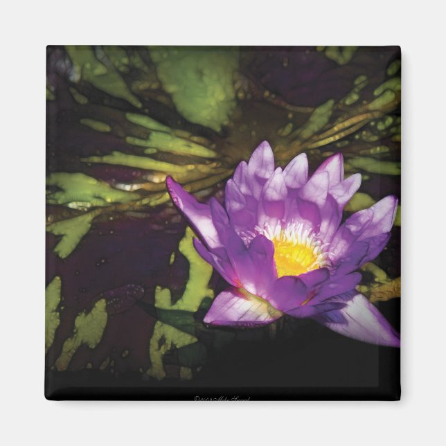 Imán Lily - Nymphaea  - Día Agradable (Frente)