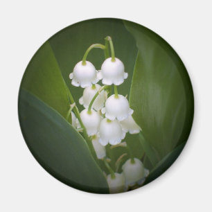 Imán Lily-Of-The_Valley