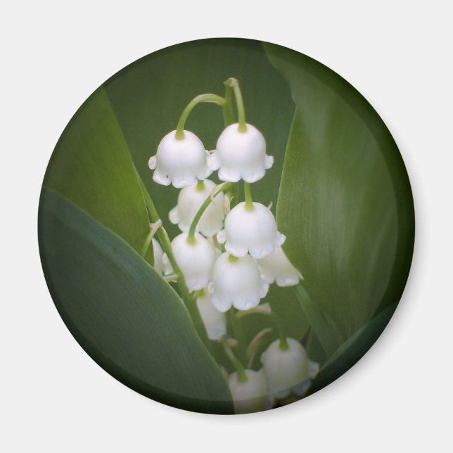 Imán Lily-Of-The_Valley (Frente)