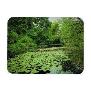 Imán Lily Pads en el estanque