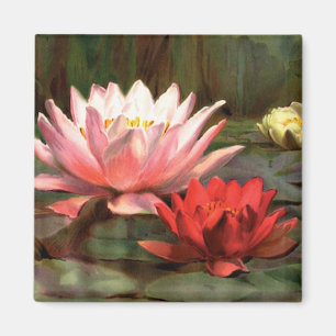 Imán Lily Pads - Magnet