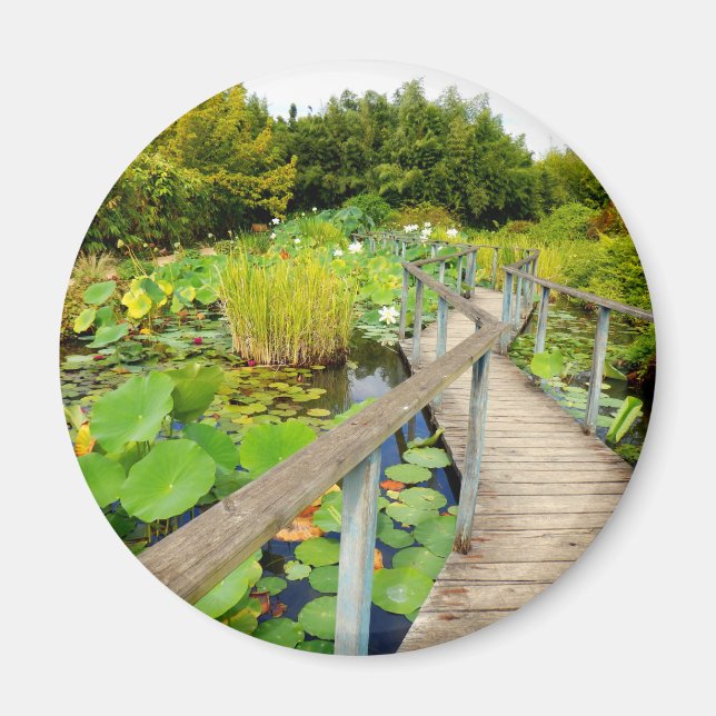 Imán Lily Pond Magnet (Frente)