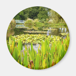 Imán Lily Pond Magnet