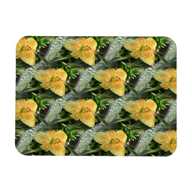 Imán Lily Time. (Horizontal)