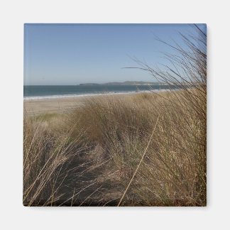 Imán Limantour Beach at Point Reyes National Seashore I