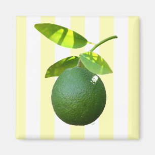 Imán Lime Magnet