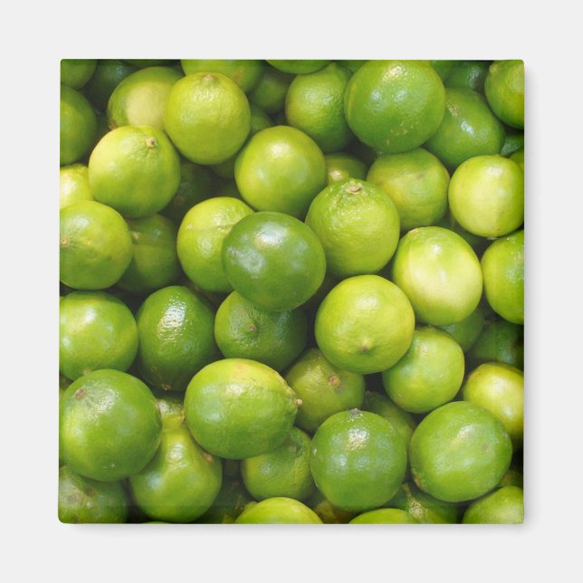 Imán Limes Magnet 01 (Frente)