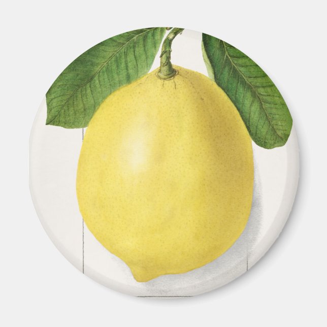 Imán Limón vintage (Frente)