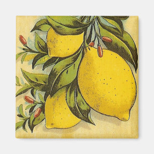 Imán Limones deliciosos