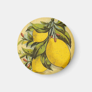 Imán Limones deliciosos