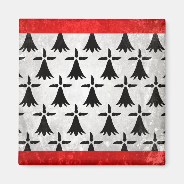 Imán Limousin (Frente)