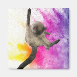 Imán Limpiando hacia arriba