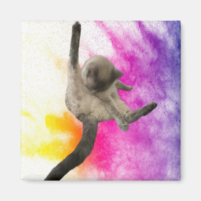 Imán Limpiando hacia arriba (Frente)