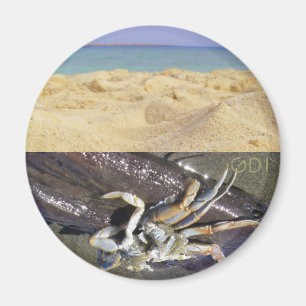 Imán ¿Limpio o sucio? ¡GDI!