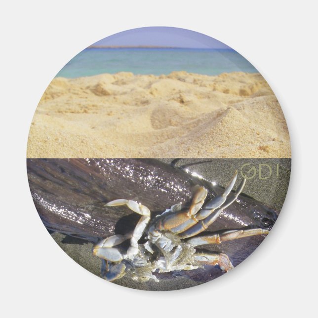 Imán ¿Limpio o sucio? ¡GDI! (Frente)