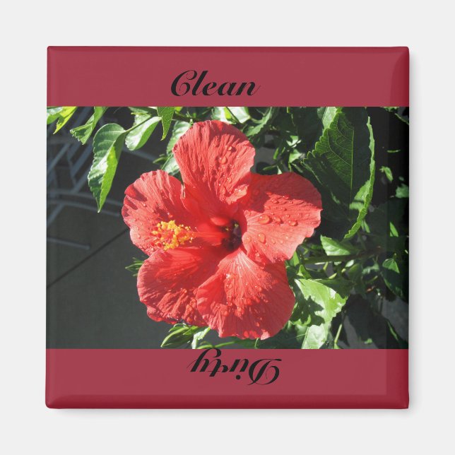 Imán limpio, sucio (Frente)