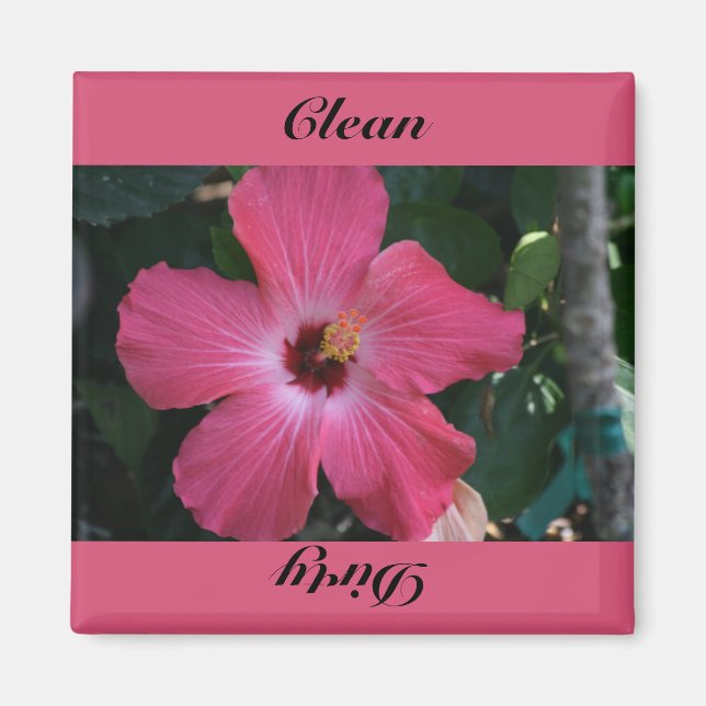 Imán limpio, sucio (Frente)