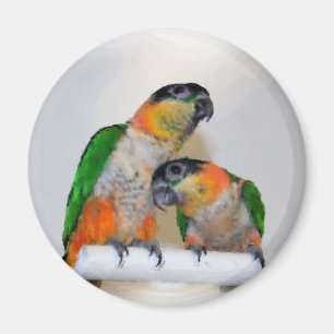 Imán lindo de la acuarela de los pares del loro