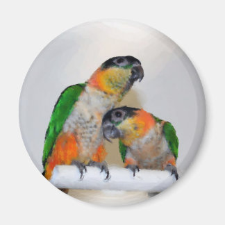 Imán lindo de la acuarela de los pares del loro