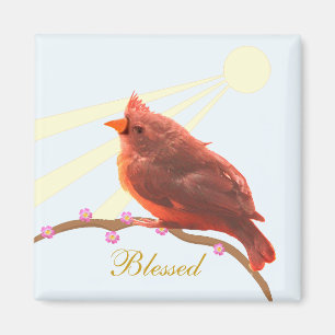 Imán Lindo pájaro cardenal y sol