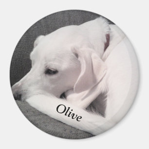 Imán Lindo perro blanco labrador mezcla poner tu nombre