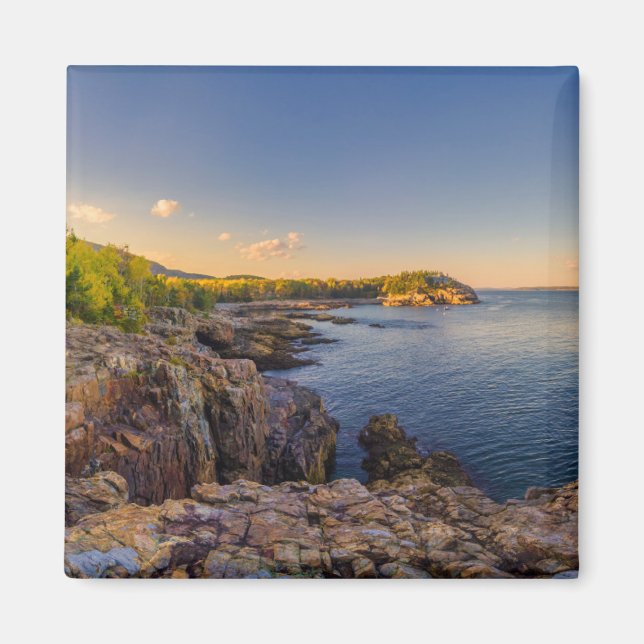 Imán Línea costera | Parque nacional Acadia, Jefe de la (Frente)