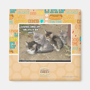 Imán Línea de Conga de Caturday
