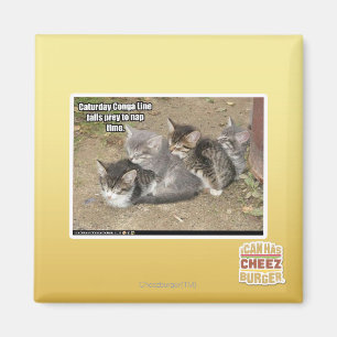 Imán Línea de Conga de Caturday