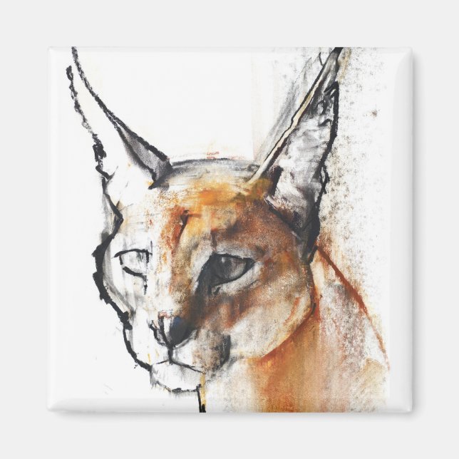 Imán Línea de costa (Frente)